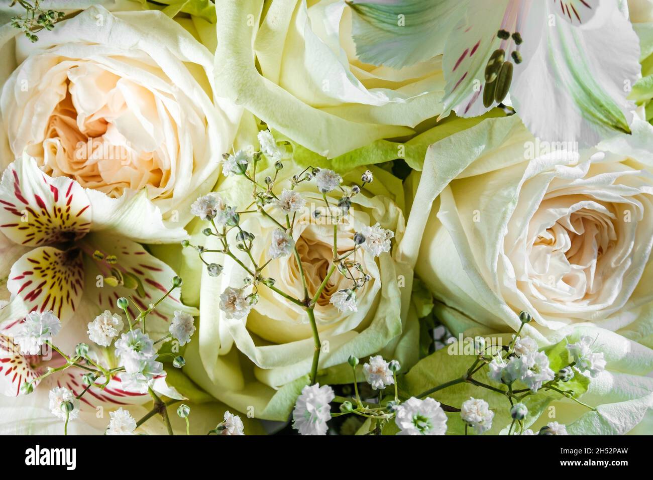 Bouquet di fiori di rosa e allstroemeria primo piano. Foto Stock