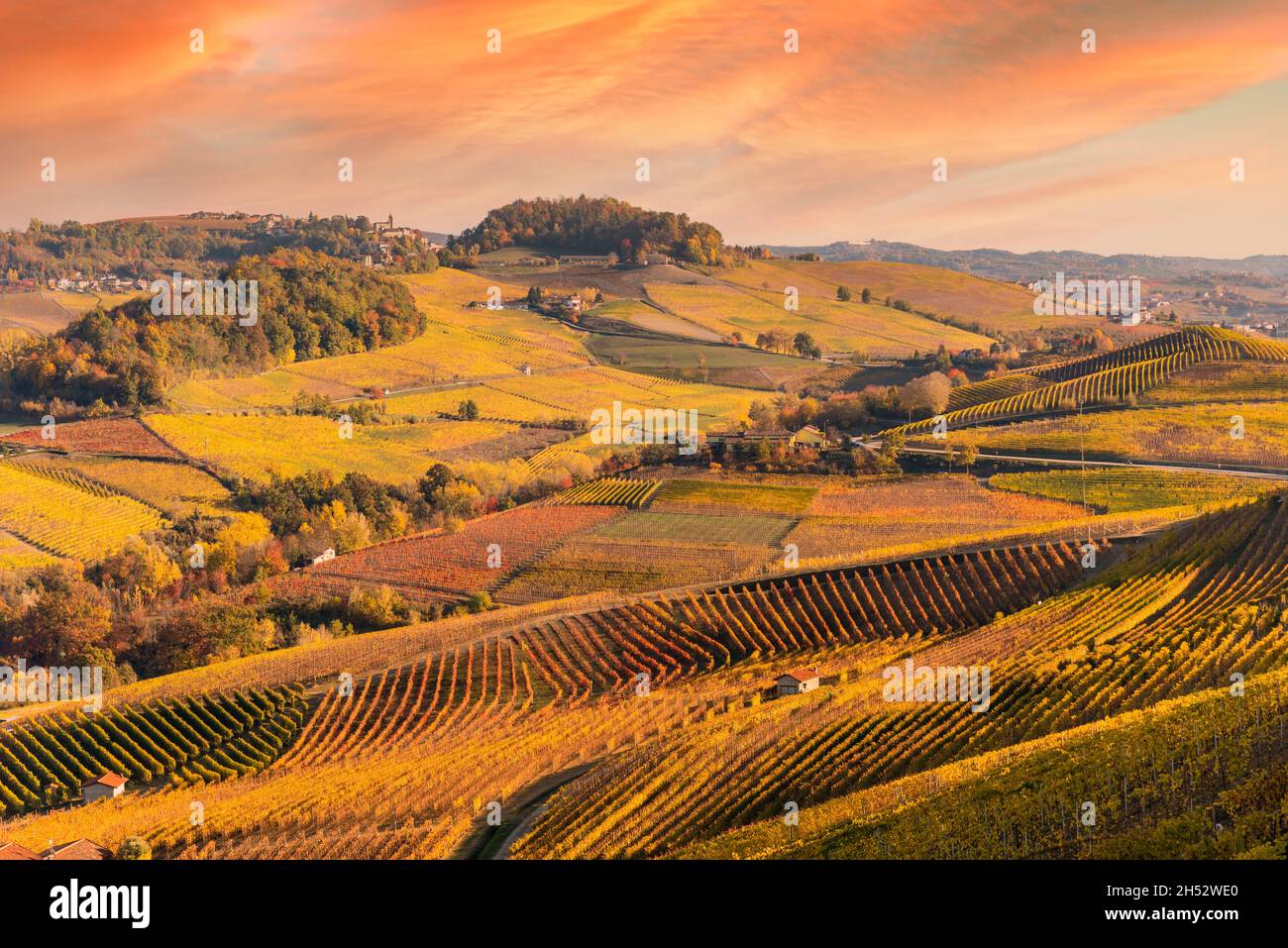 Paesaggio sulle colline del Barolo, Langhe, Italia, con i raffinati vigneti di uve Nebbiolo in autunno su un cielo dai caldi colori del tramonto Foto Stock