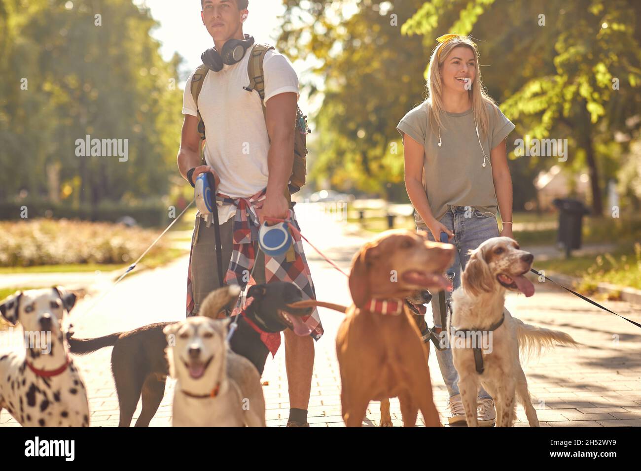 Professional walkers cane godendo nel camminare con i cani all'esterno. Foto Stock