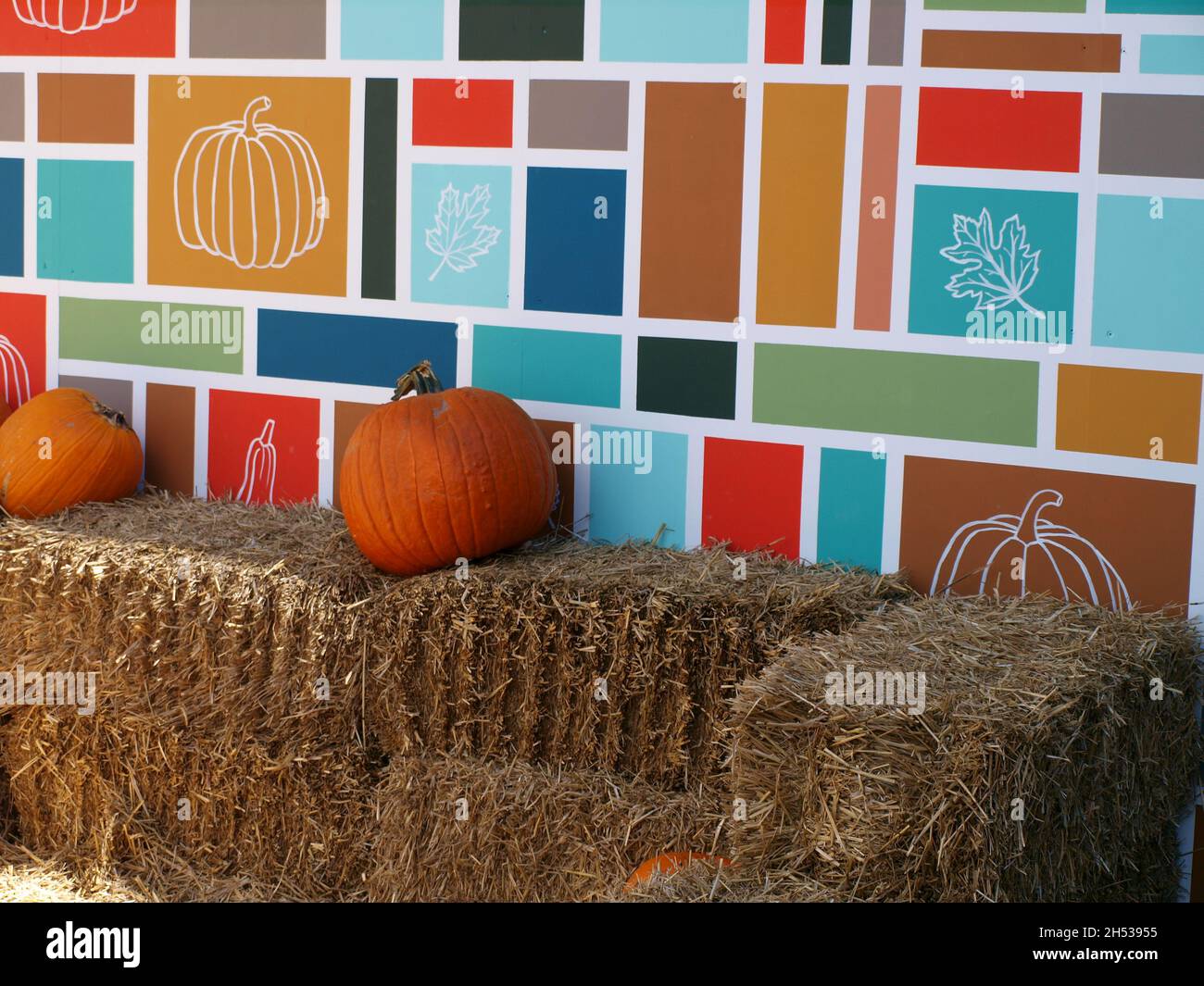 Ricerca filtri Seleziona tutti passati Cancella selezione controllo di qualità pseudonimi tipi di file attributi rilevabilità Non in vendita intorno al Foto Stock