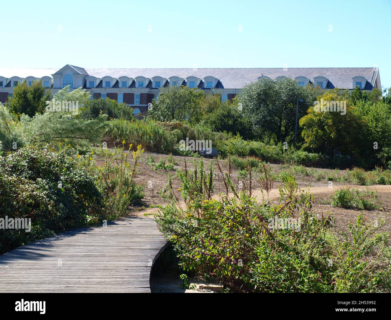 Ricerca filtri Seleziona tutti passati Cancella selezione controllo di qualità pseudonimi tipi di file attributi rilevabilità Non in vendita intorno al Foto Stock