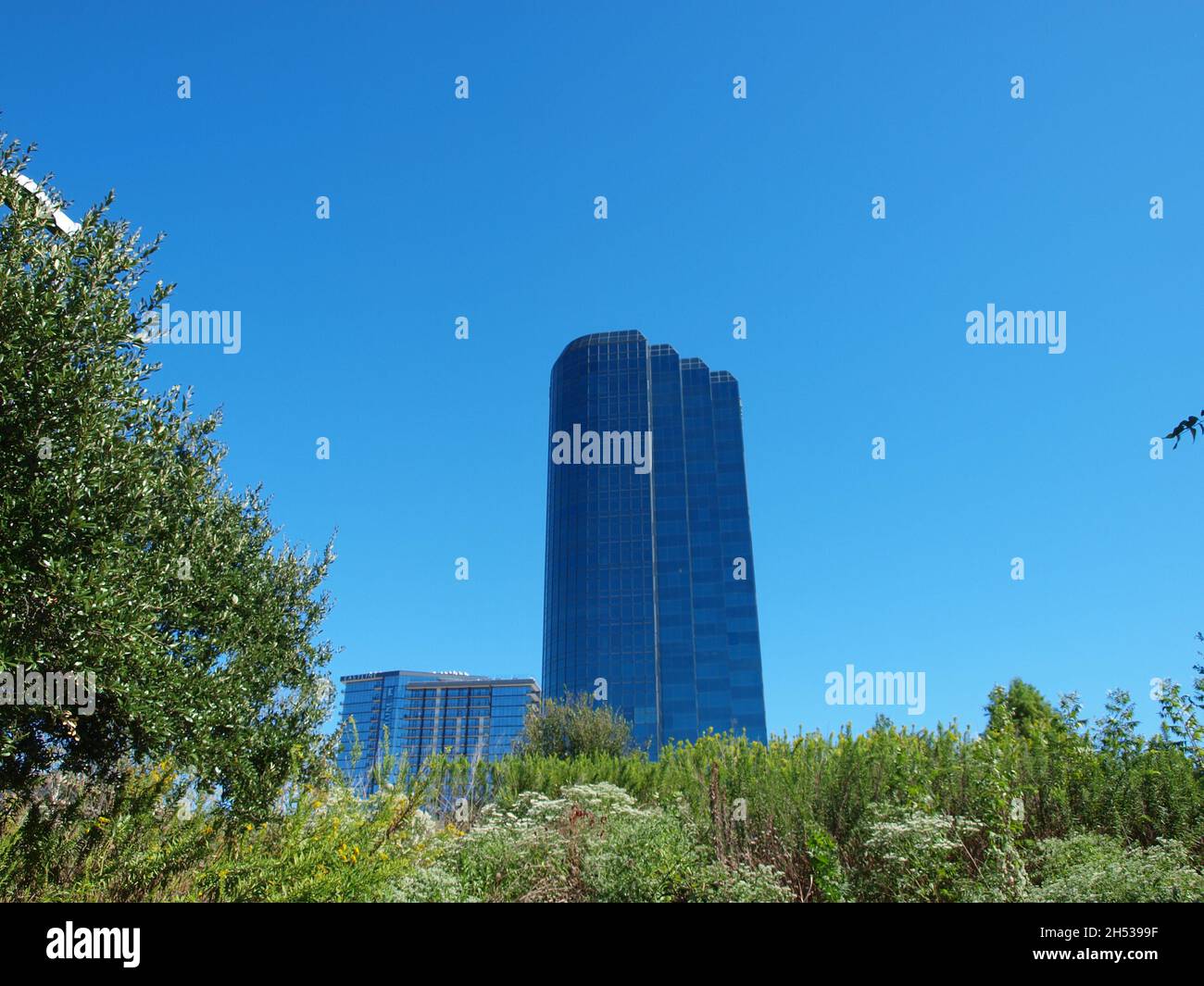 Ricerca filtri Seleziona tutti passati Cancella selezione controllo di qualità pseudonimi tipi di file attributi rilevabilità Non in vendita intorno al Foto Stock