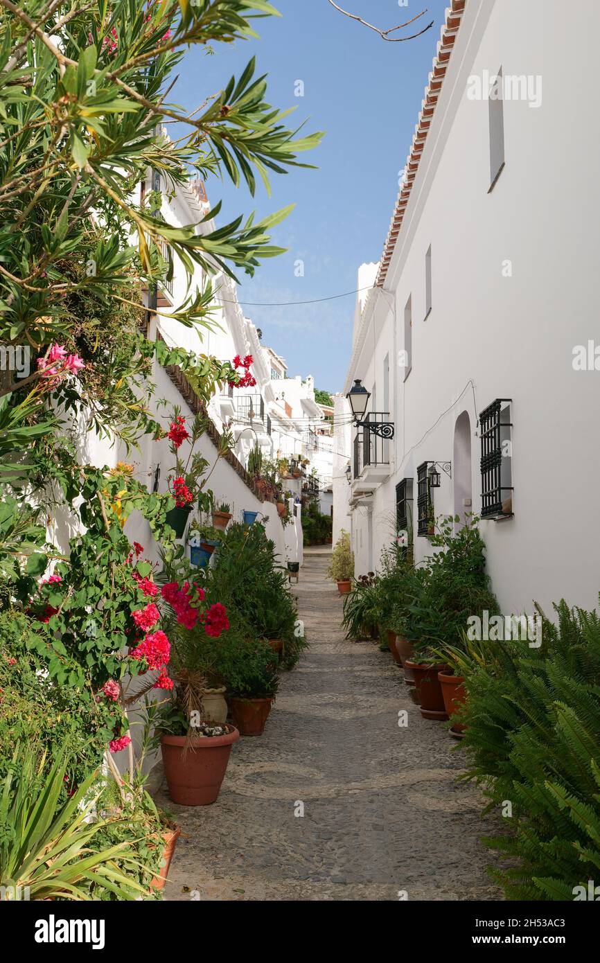 Tranquilla strada della città di Frigiliana, un tradizionale villaggio bianco nella montagna della costa di Malaga Foto Stock