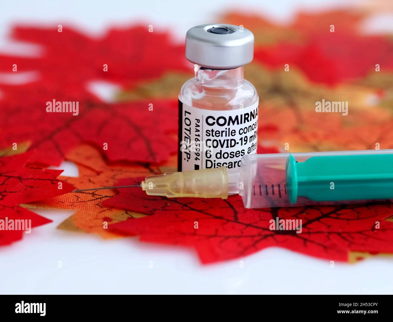 Comirrnaty Biontech Pfizer fiala di vaccinazione con una siringa contro il virus covid-19 o Corona su foglietti rossi Foto Stock