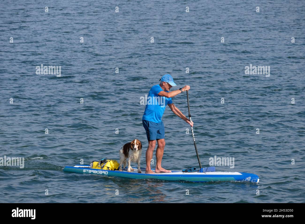 Uomo e cane a pagaia sul fiume Lymington, Hampshire, Inghilterra, Regno Unito Foto Stock