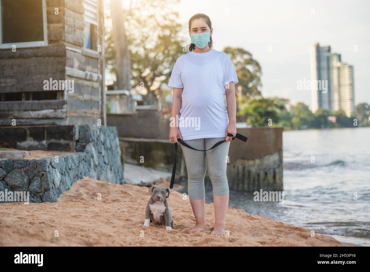 Americano bully cucciolo divertente sulla spiaggia con gente famiglia viaggio maschera nuovo normale Foto Stock