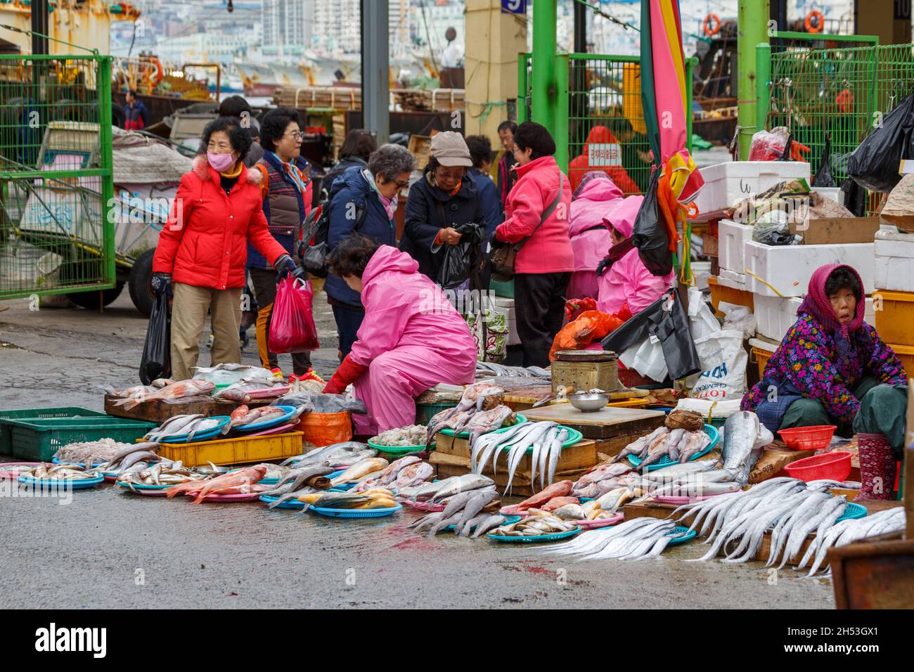 Busan, Corea del Sud - 25 marzo 2016: Business Street Seafood. Il mercato del commercio di prelibatezze marine. Foto Stock