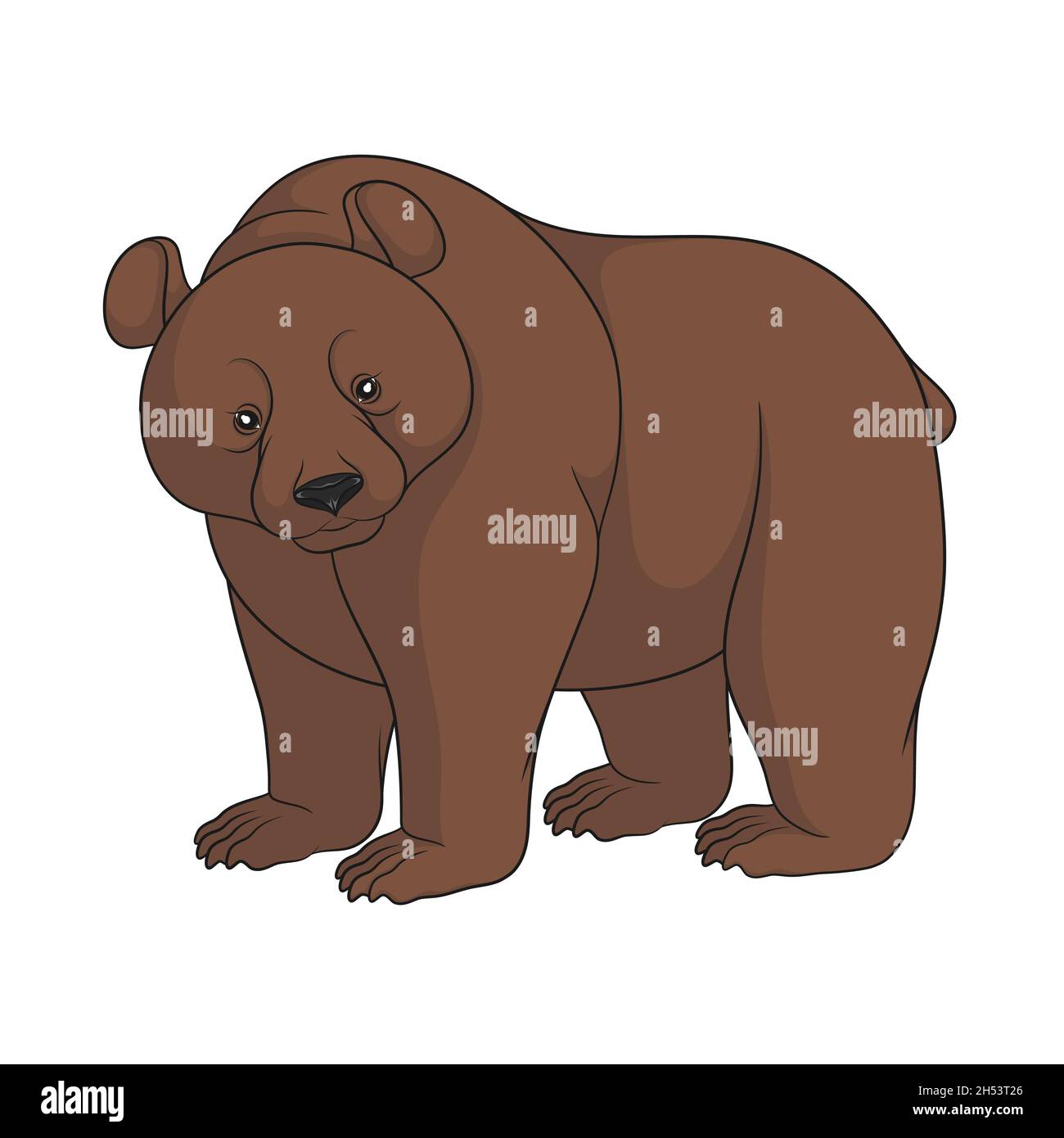 Immagine a colori di un orso bruno. Oggetto isolato su sfondo bianco. Illustrazione Vettoriale