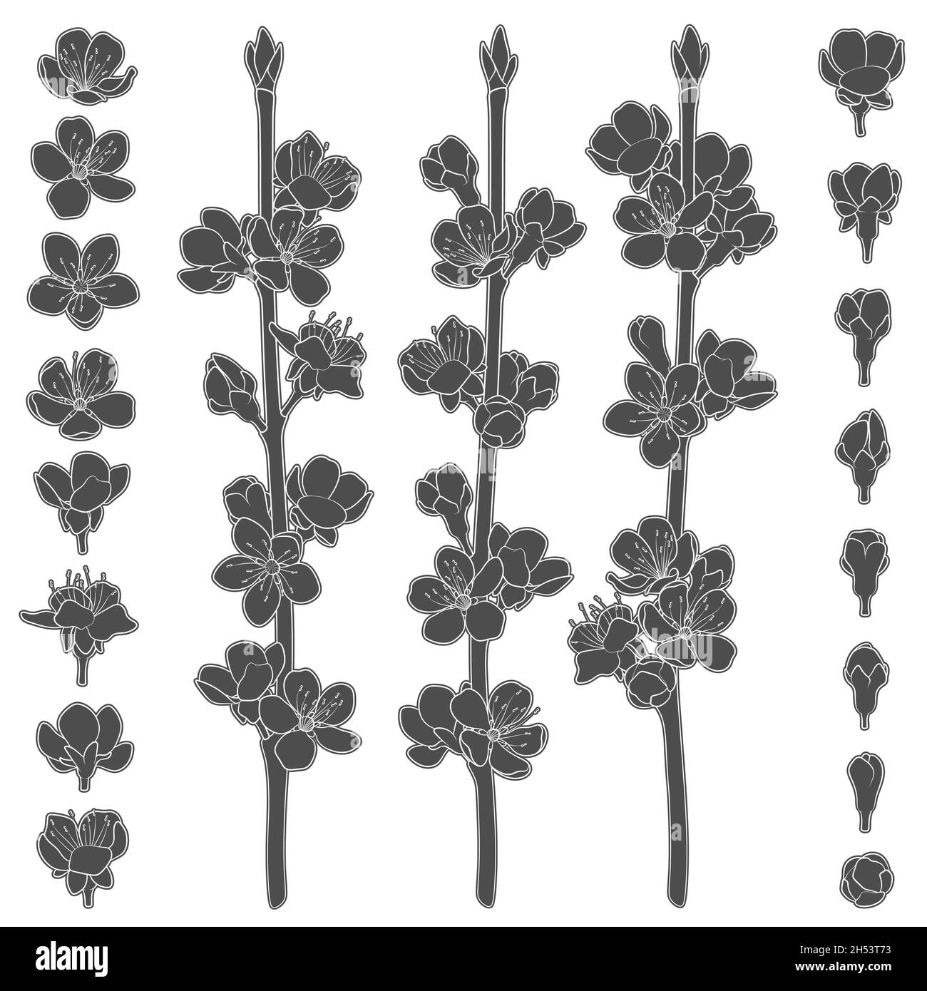 Set di immagini in bianco e nero con rami primaverili in fiore. Oggetti vettoriali isolati su sfondo bianco. Illustrazione Vettoriale