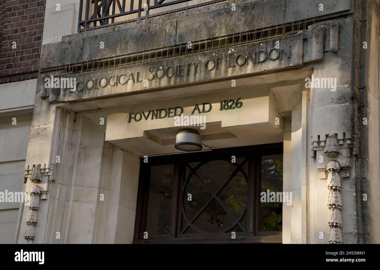 Sede della Zoological Society di Londra, fondata nel 1826, dallo zoo e dal canale del Regent a Londra, Inghilterra, Regno Unito Foto Stock