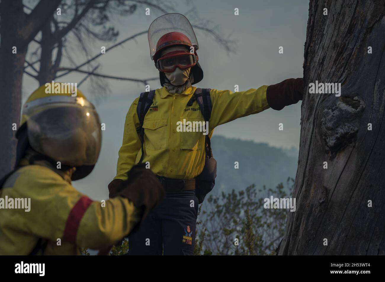 I vigili del fuoco combattono un bizzarri sulla Table Mountain di Città del Capo, il punto di riferimento più riconoscibile del Sud Africa Foto Stock