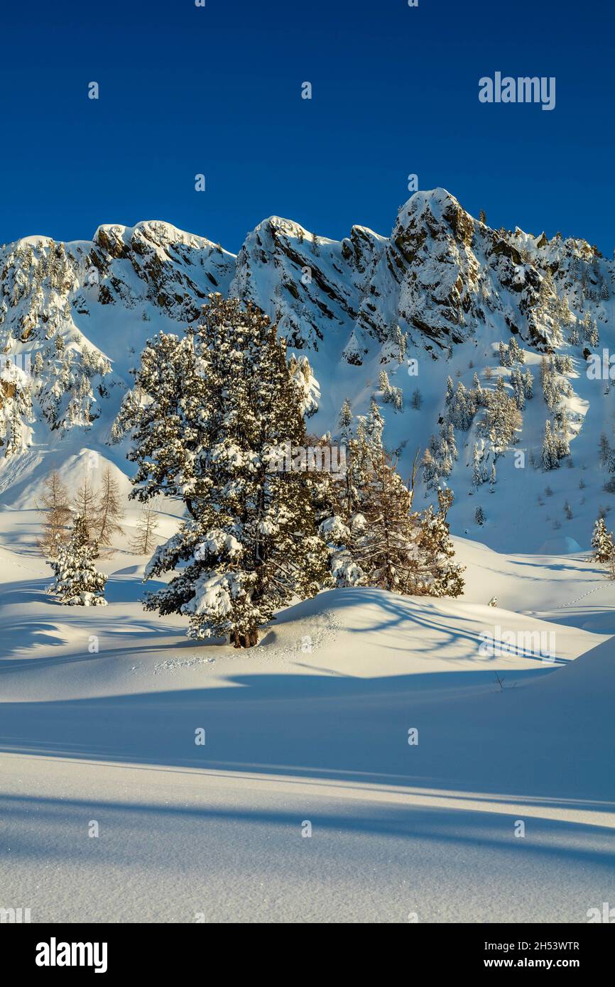 FRANCIA. ALPES-MARITIMES (06) ISOLA 2000 STAZIONE SCIISTICA Foto Stock