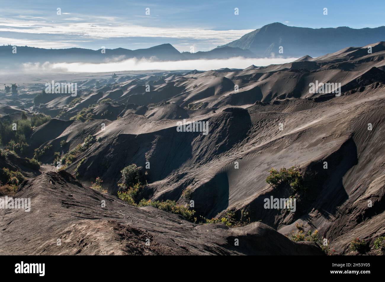 Dune di sabbia vulcanica alla base del vulcano del Monte bromo nella caldera di Tennger, Giava orientale, Indonesia Foto Stock