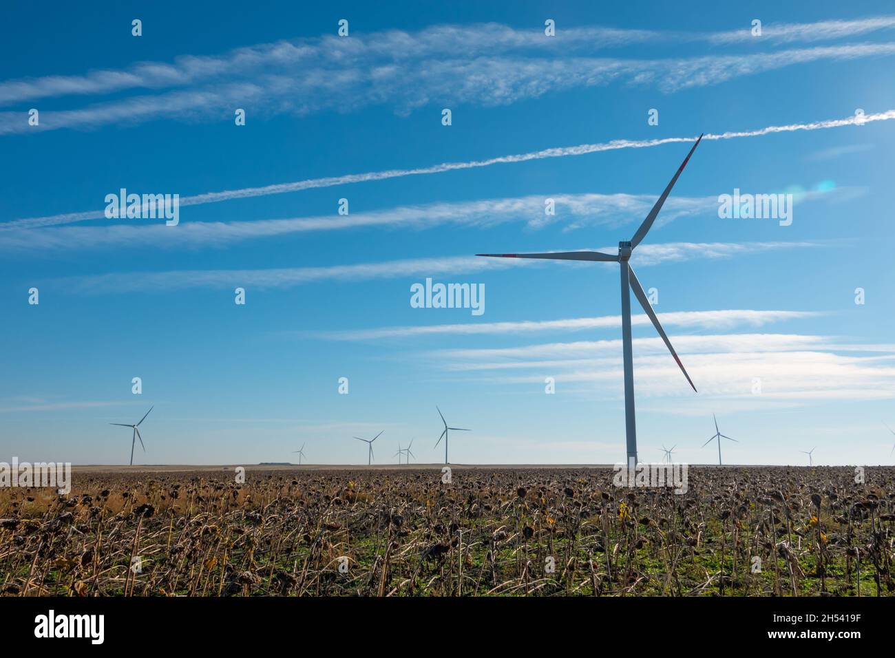 Turbine eoliche in terreno aperto nelle giornate ventose con nuvole scure nel cielo. Generazione di potenza alternativa. Foto Stock