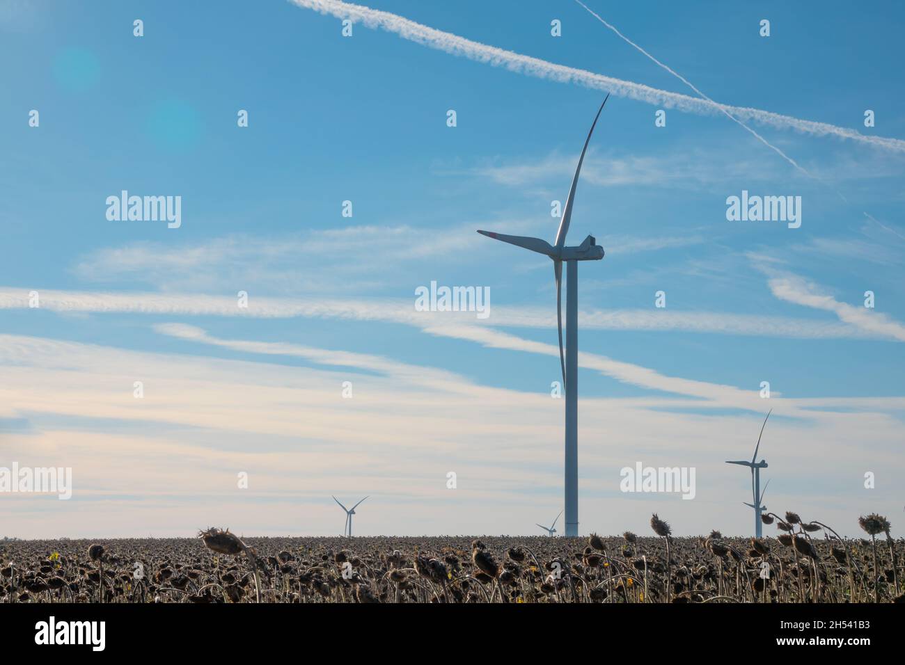 Turbine eoliche in terreno aperto nelle giornate ventose con nuvole scure nel cielo. Generazione di potenza alternativa. Foto Stock