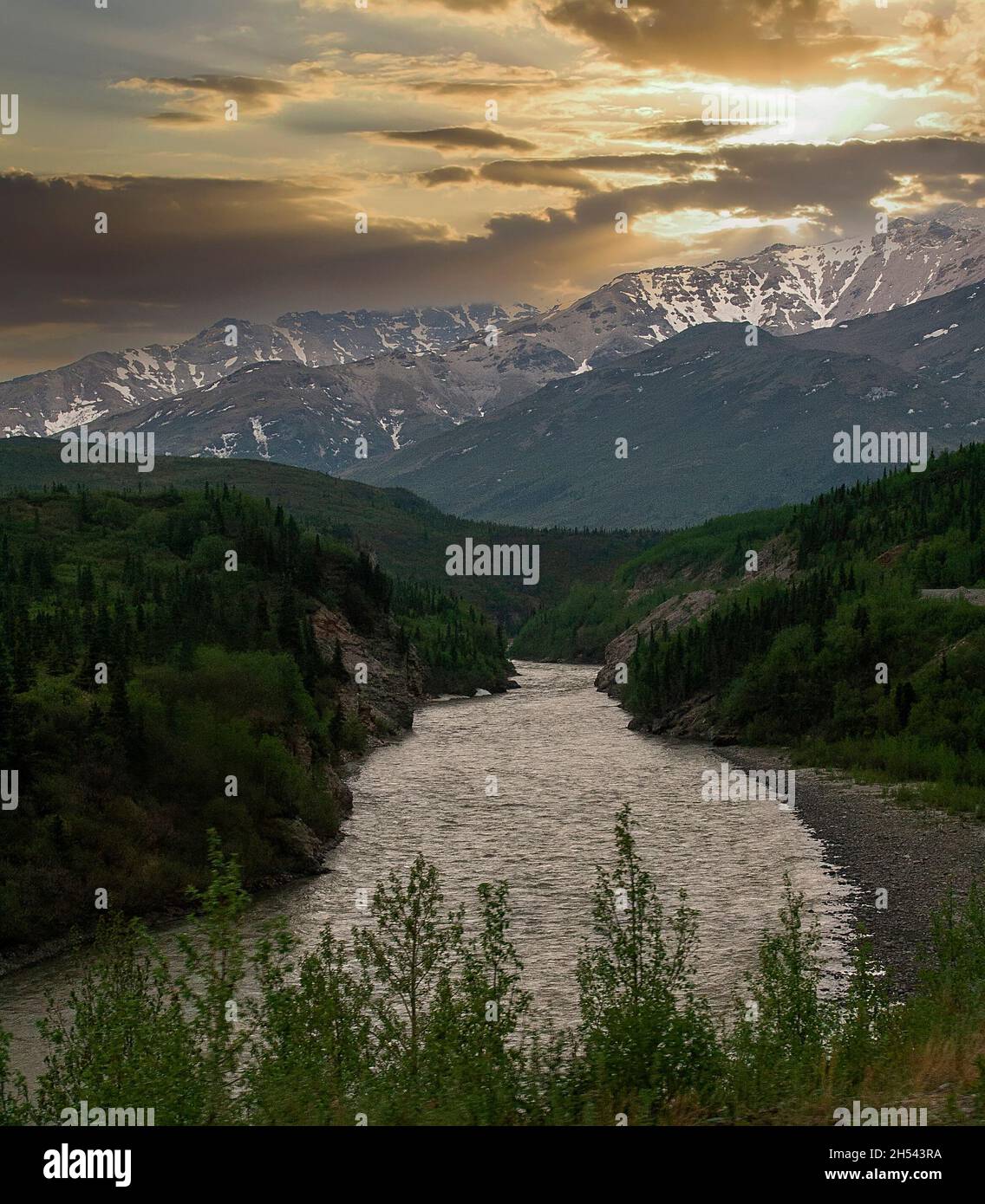 Sole sulle montagne nel Parco Nazionale Denali Foto Stock