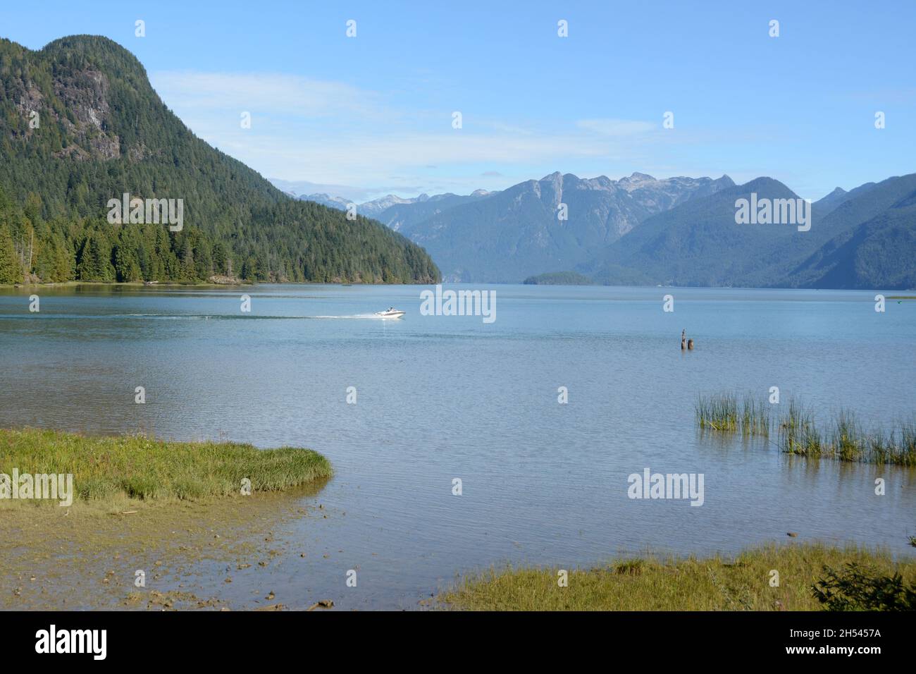 Un motoscafo sul lago Pitt, uno dei più grandi laghi di marea del mondo, e sulle montagne della catena Garibaldi, Pitt Meadows, British Columbia, Canada. Foto Stock