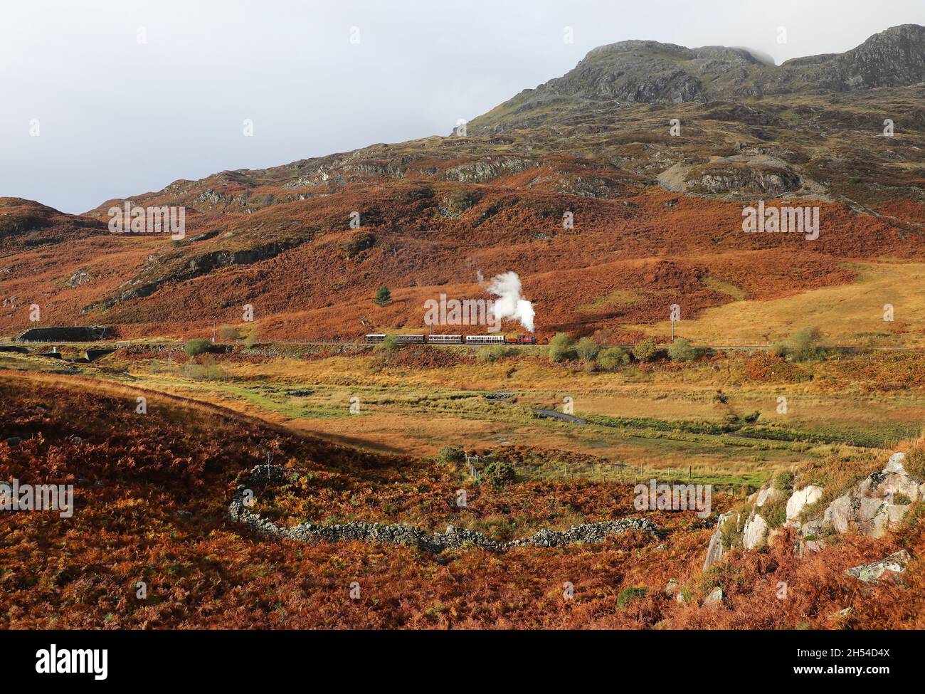 'Prince' si allontana dal tunnel di Moelwyn sulla ferrovia 2.11.21 Ffestiniog Foto Stock