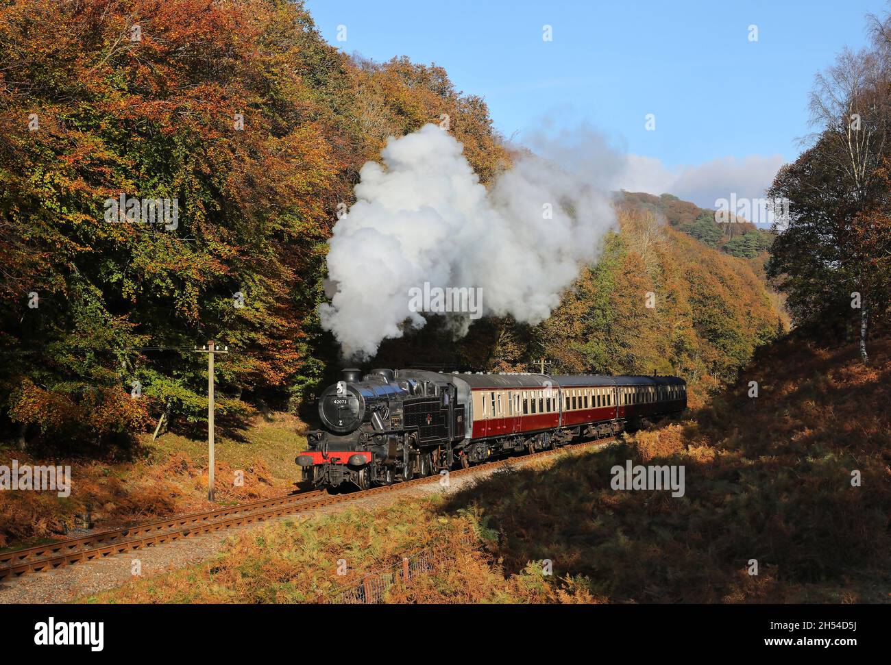 42073 si dirige attraverso i boschi vicino a Newby Bridge su 4.11.21. Foto Stock