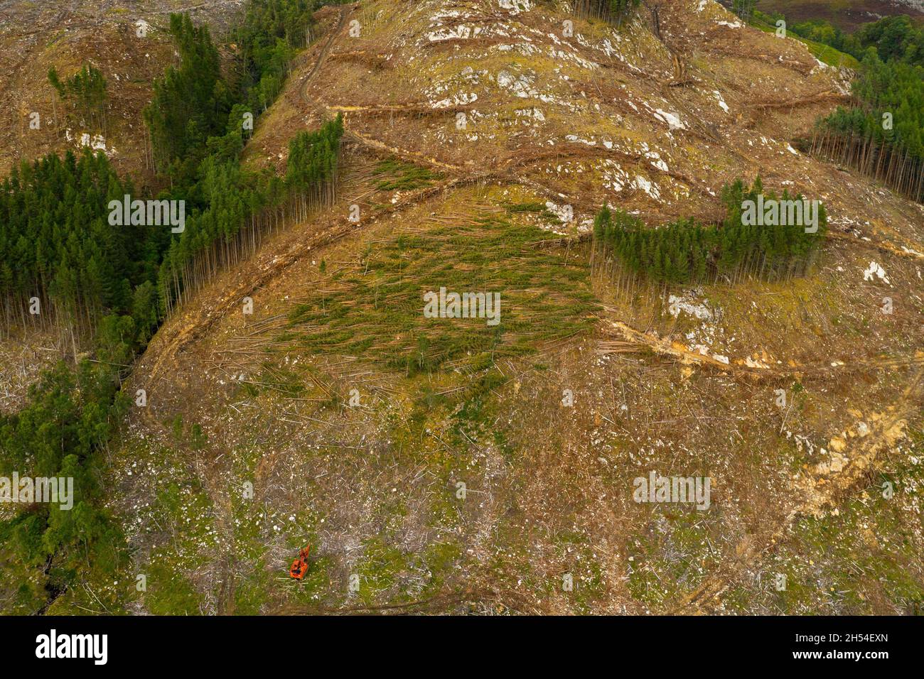 Vista aerea della raccolta del legname su una collina vicino a Cannich nelle Highlands della Scozia. Foto Stock