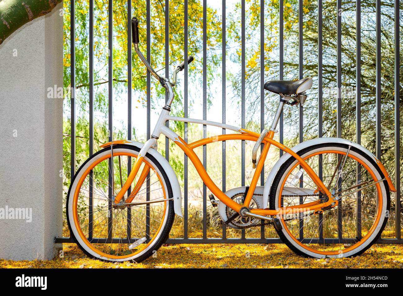 Vecchia bicicletta arancione e bianca incatenata alla recinzione sotto l'albero del palo verde in fiore con fiori gialli sul terreno. Moto in stile retrò nel deserto dell'Arizona. Foto Stock