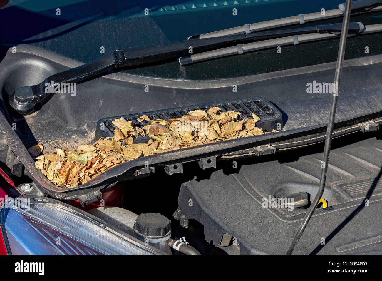 Presa d'aria di ventilazione dell'auto ostruita da foglie. Concetto di manutenzione, riparazione e assistenza del comando della climatizzazione del veicolo Foto Stock