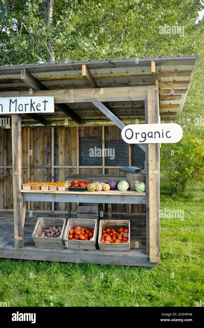 Stand sul lato strada del Community Farm Market con prodotti biologici freschi locali, Ashland, Wisconsin, USA Foto Stock
