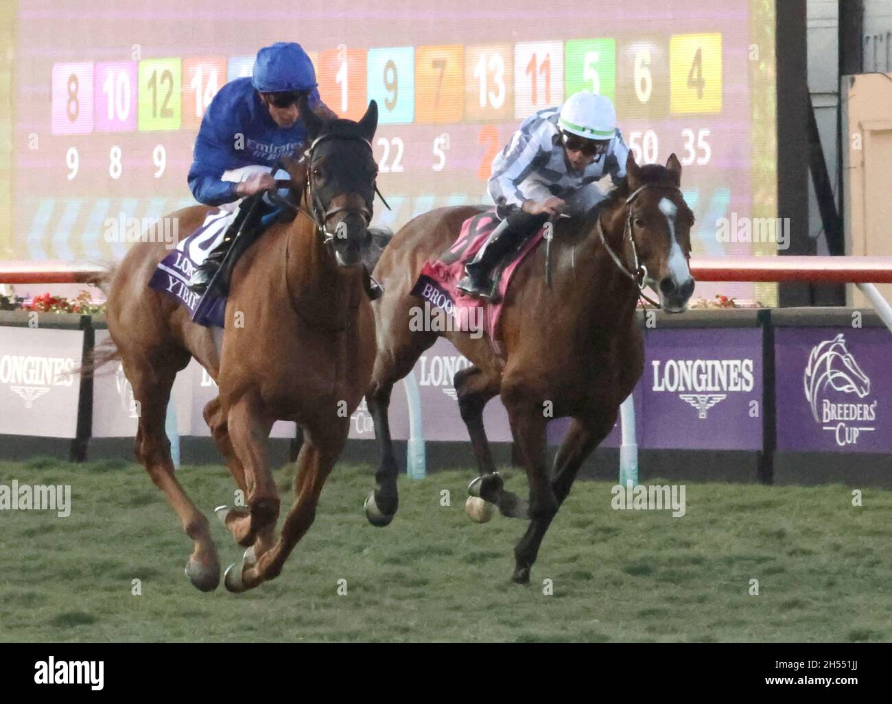 Del Mar, Stati Uniti. 6 novembre 2021. Yibir, guidato da William Buick, Edges Broome, Lanfranco Dettori, per vincere il Turf Breeders Cup al Breeders' Cup Championships in del Mar California. 6 novembre 2021. Foto di Mark Abraham/UPI Credit: UPI/Alamy Live News Foto Stock