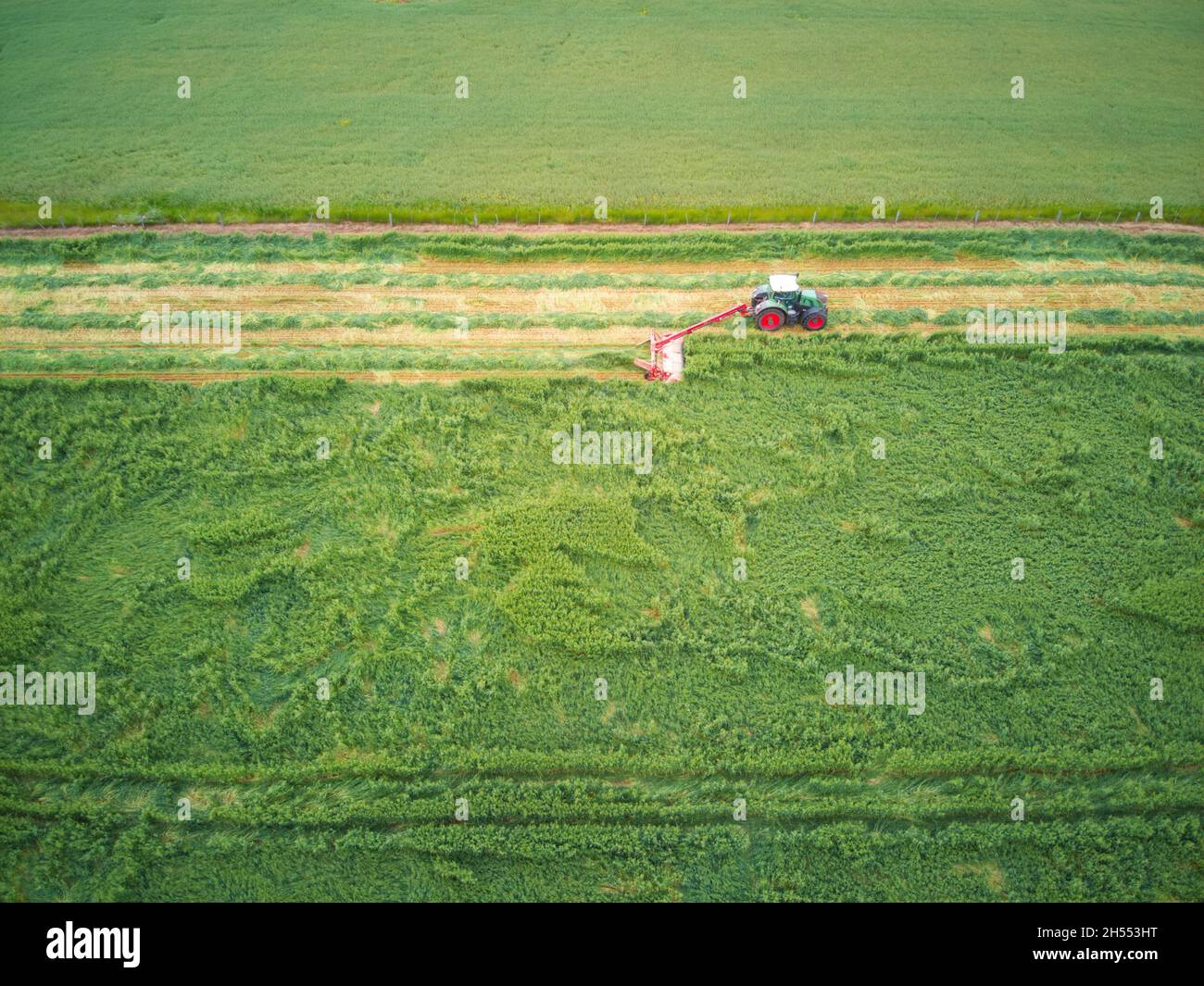 Trattore moderno in vista laterale sul campo per il taglio di fieno di avena con risaie verdi a Victoria, Australia. Foto Stock