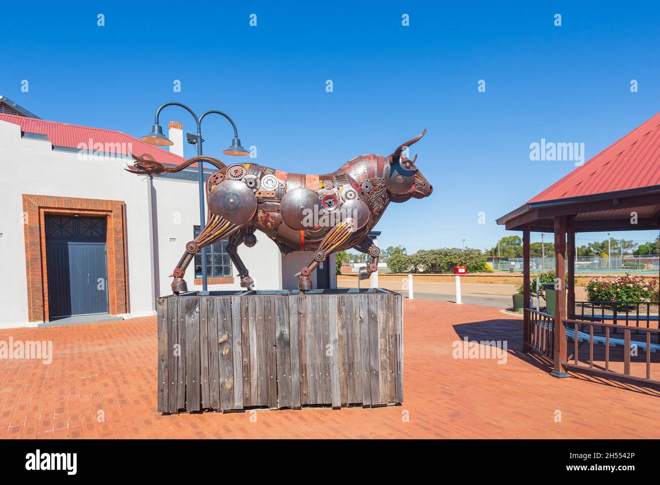 Scultura di El Toro dell'artista Jordan Sprimg esposta a Quairading, Wheatbelt Region, Western Australia, WA, Australia Foto Stock