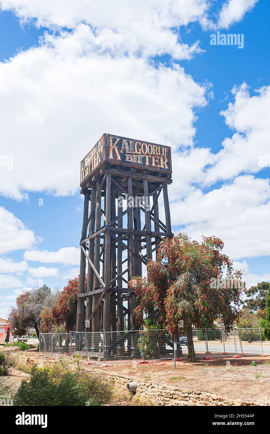 Patrimonio storico iconico Kalgoorlie Bitter Water Tower, Merredin, Wheatbelt Region, Western Australia, WA, Australia Foto Stock
