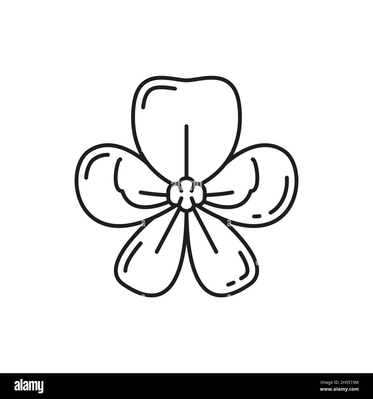 Cassia fistola fiore nazionale della Thailandia isolato Thai fiore sottile icona linea. Vettore Golden doccia fiore, asiatico cricco di ruek naturale primavera o somma Illustrazione Vettoriale