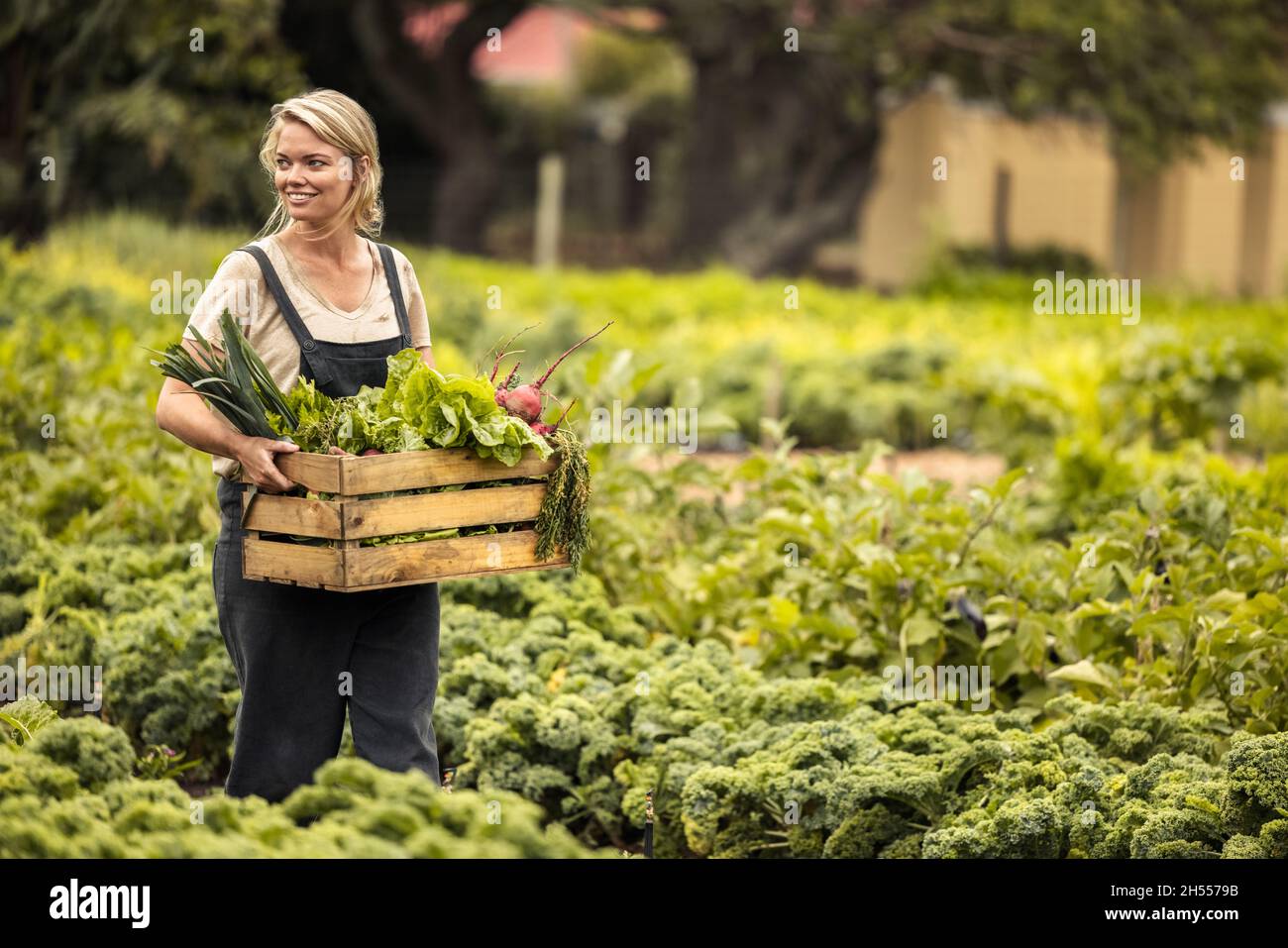 Agricoltore biologico autosufficiente che detiene una scatola piena di prodotti freschi raccolti nella sua fattoria. Felice agricoltore femmina sorridendo allegro mentre si cammina attraverso Foto Stock