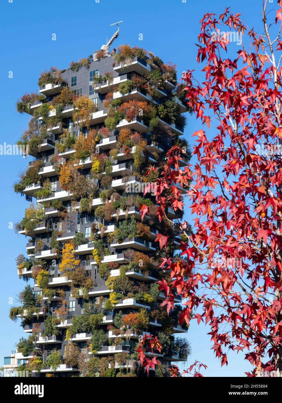 Milano, Italia. Bosco verticale, vista sul moderno grattacielo ecologico con molti alberi su ogni balcone. Architettura moderna, giardini verticali Foto Stock