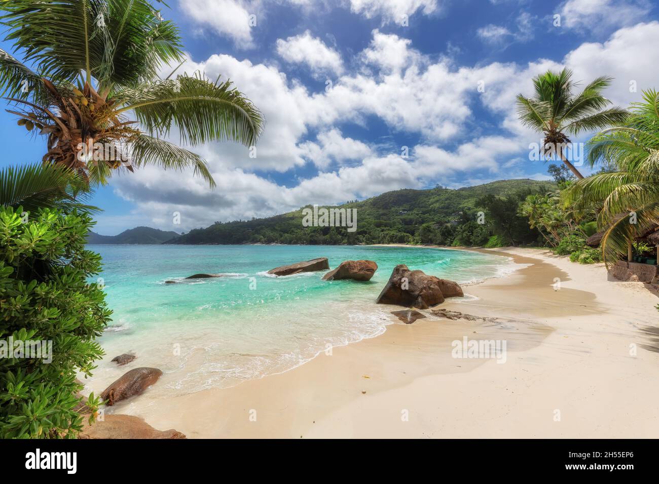 Spiaggia soleggiata con palme e mare tropicale in paradiso isola delle Seychelles Foto Stock