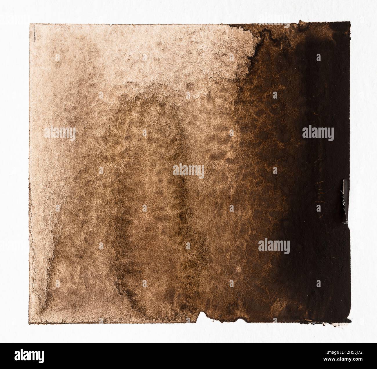 esempio di tecnica di pittura acquarello disegnata a mano in colore seppia su carta bianca testurizzata primo piano - riempimento gradiente acquerello Foto Stock