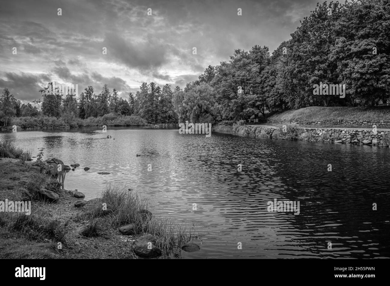 Vista pittoresca della foresta e del fiume Vuoksi nella città di Priozersk, Russia. Bianco e nero. Foto Stock