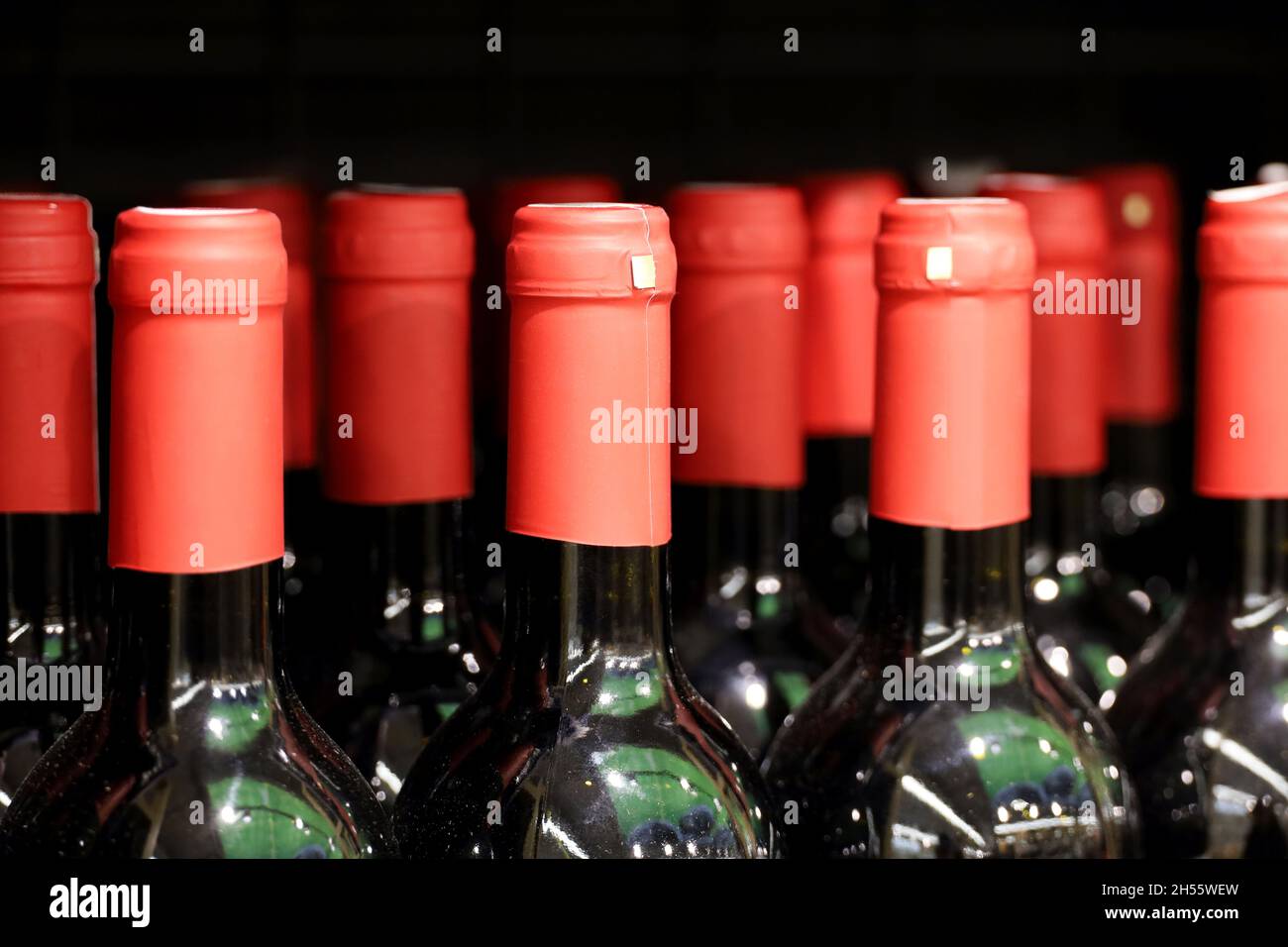 Bottiglie di vino in fila. Negozio di liquori, vino rosso Foto Stock