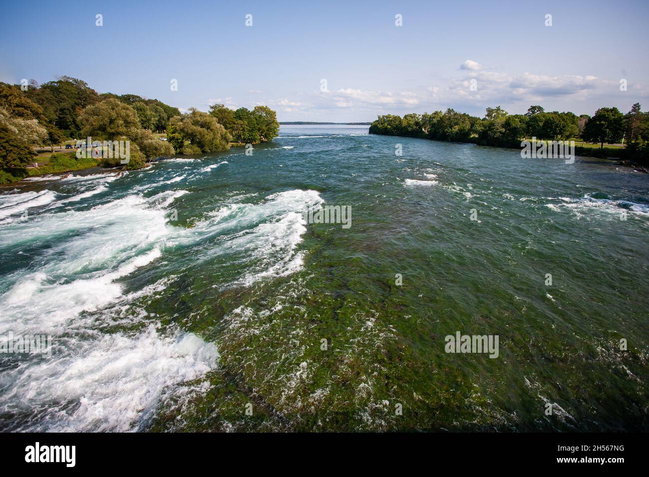 Fiume schiumoso rapido con muschio verde sul fondo, alberi sulle rive | fiume Swift, acqua schiumosa, onde, corrente veloce, giorno di sole, Cielo blu, bellissimo Foto Stock