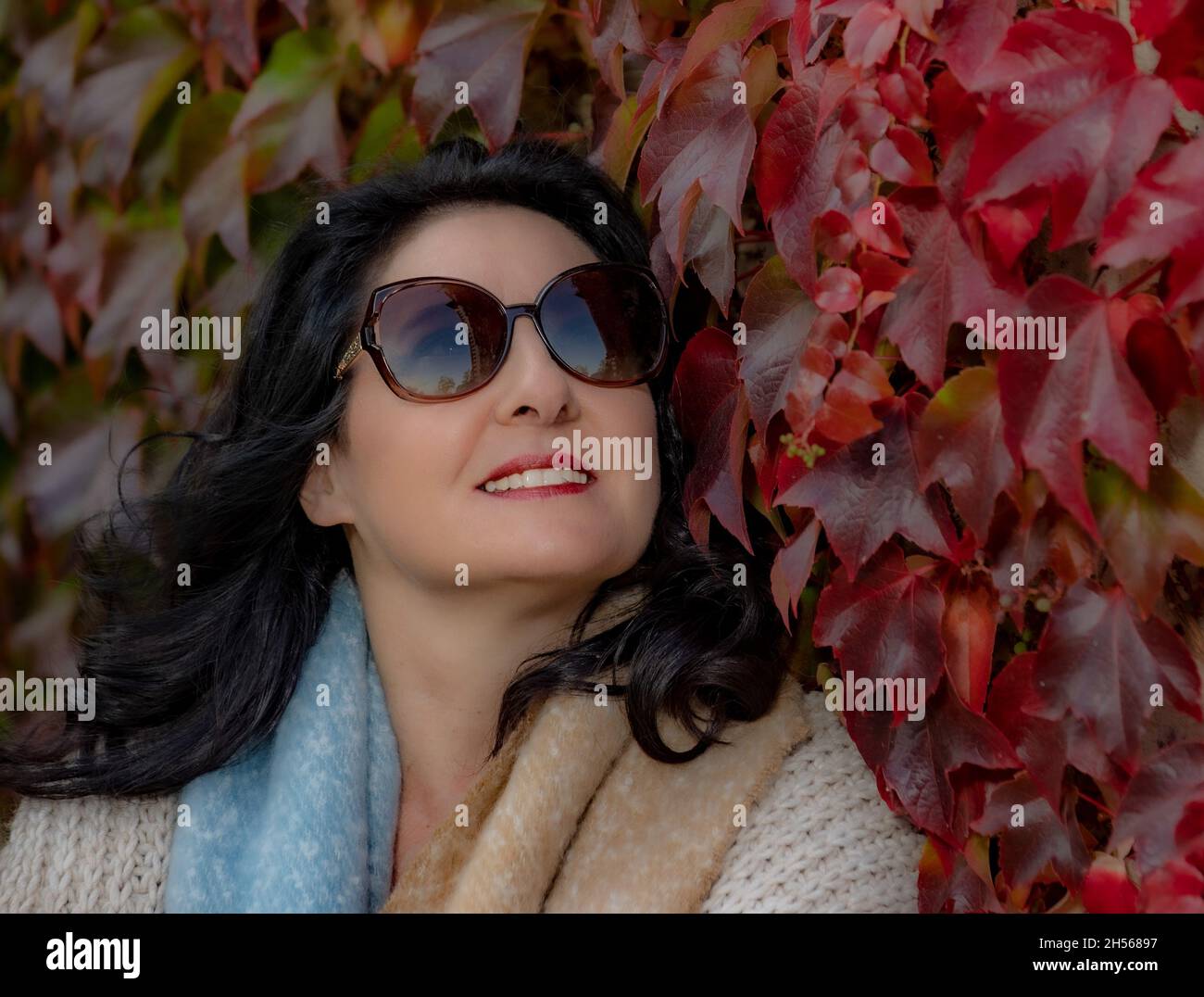 Godetevi le stagioni Foto Stock