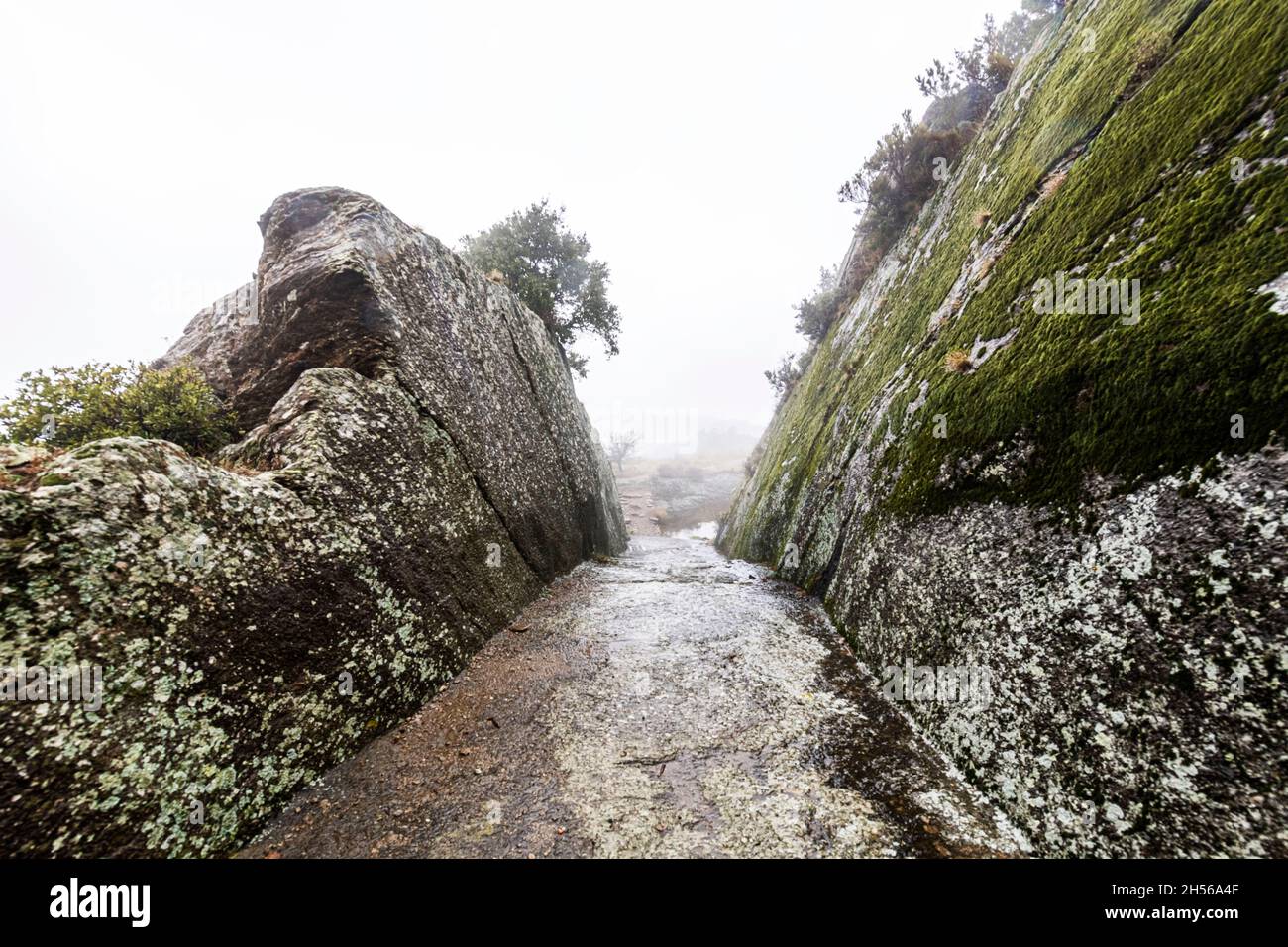 Il fossato a Fort Freinet, sopra le Garde-Freinet, Var, Francia. Foto Stock