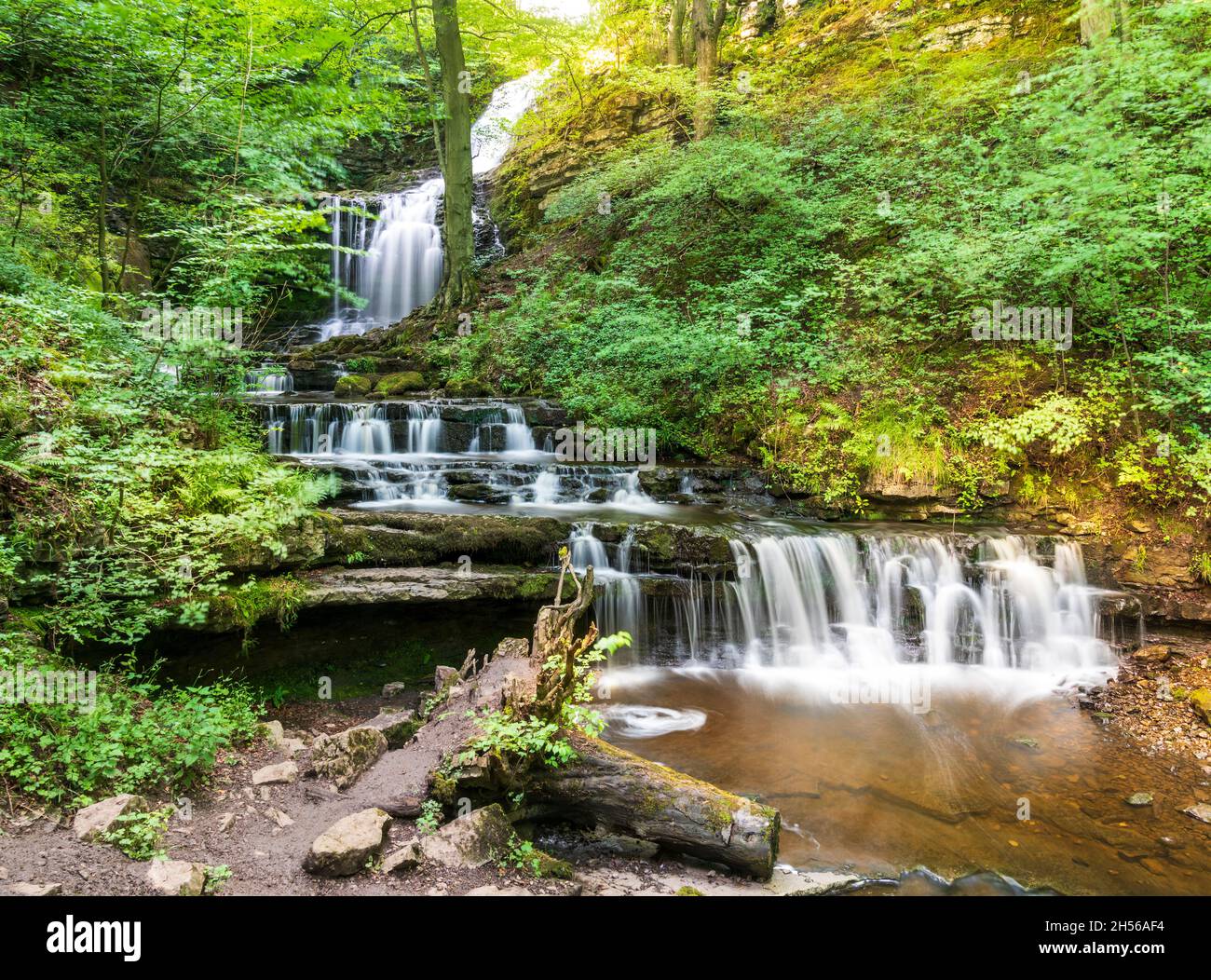 Foto lunga esposizione di Scaleber Force Waterfall nel North Yorkshire Foto Stock