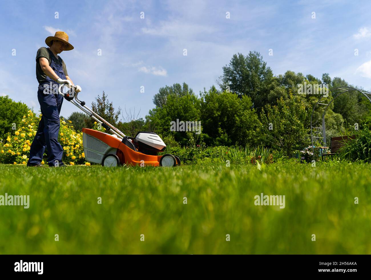 Un giardiniere professionista con un rasaerba si prende cura dell'erba nel cortile. Foto Stock