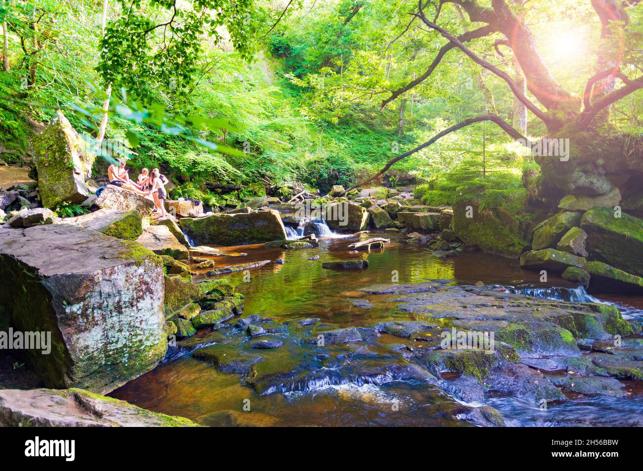 Il fiume Esk conduce a Mallyan Spout, una cascata nel North Yorkshire, Inghilterra, vicino al villaggio di Goathland. È la cascata più alta del NOR Foto Stock