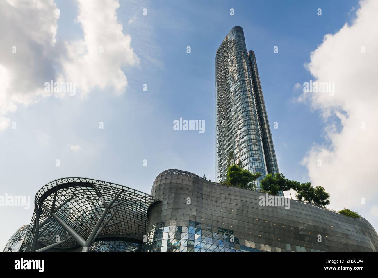 Singapore, 31 ago 2015: Popolare destinazione turistica per lo shopping e punto di riferimento ION Orchard con cielo blu. Foto Stock