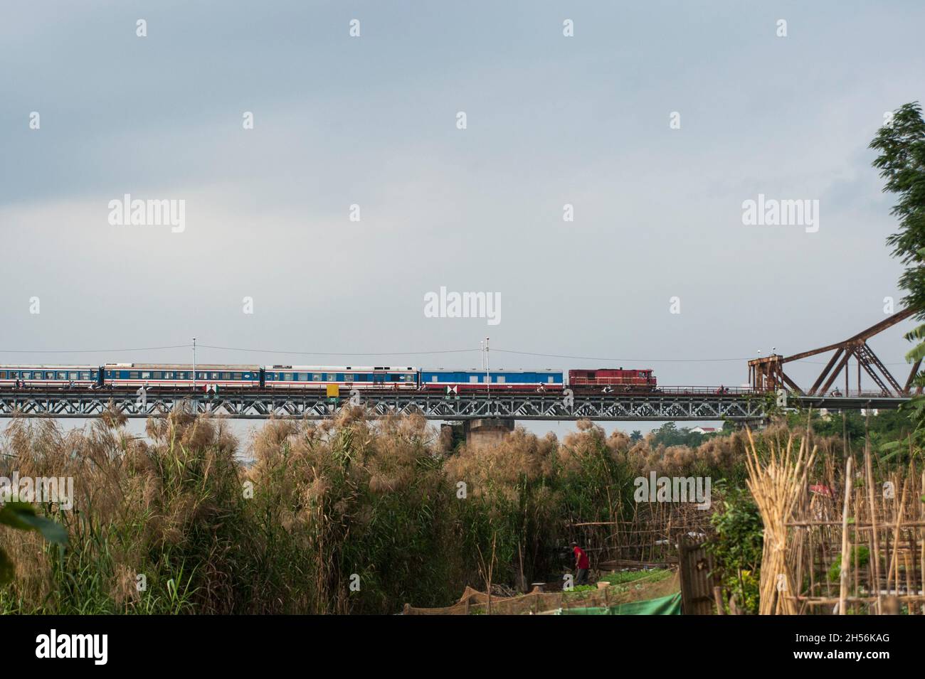 Il treno sul ponte Foto Stock