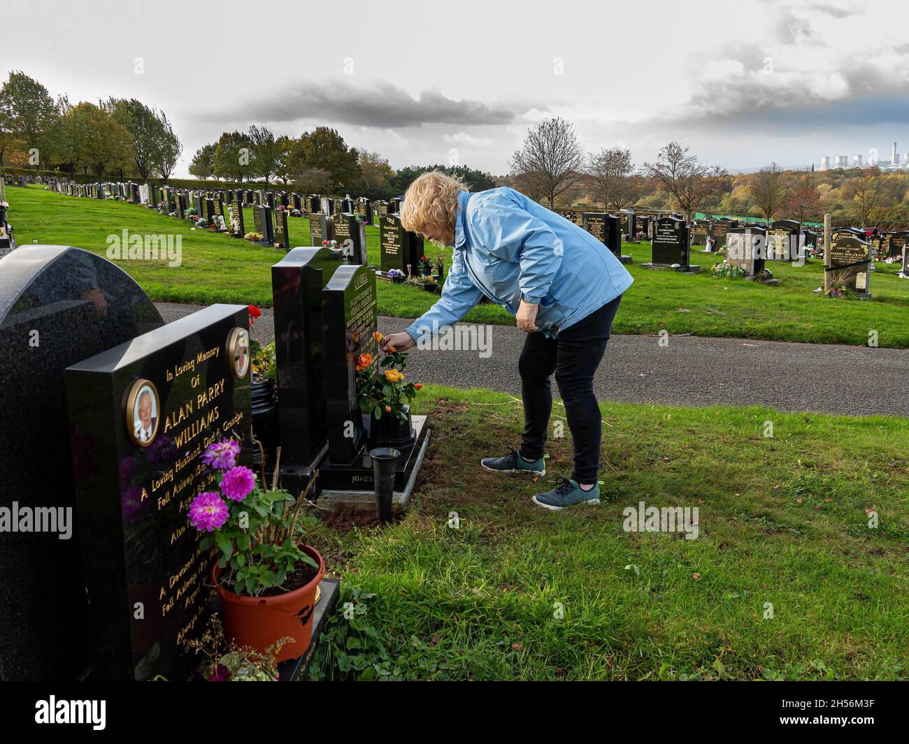 La signora matura mette le rose su una tomba in una giornata soleggiata ma ventosa Foto Stock