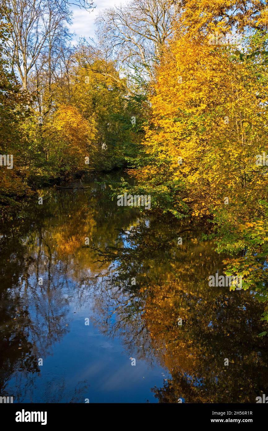 Autunno scenico con riflessi sugli alberi nel fiume Paar a Schrobenhausen (Baviera, Germania) Foto Stock