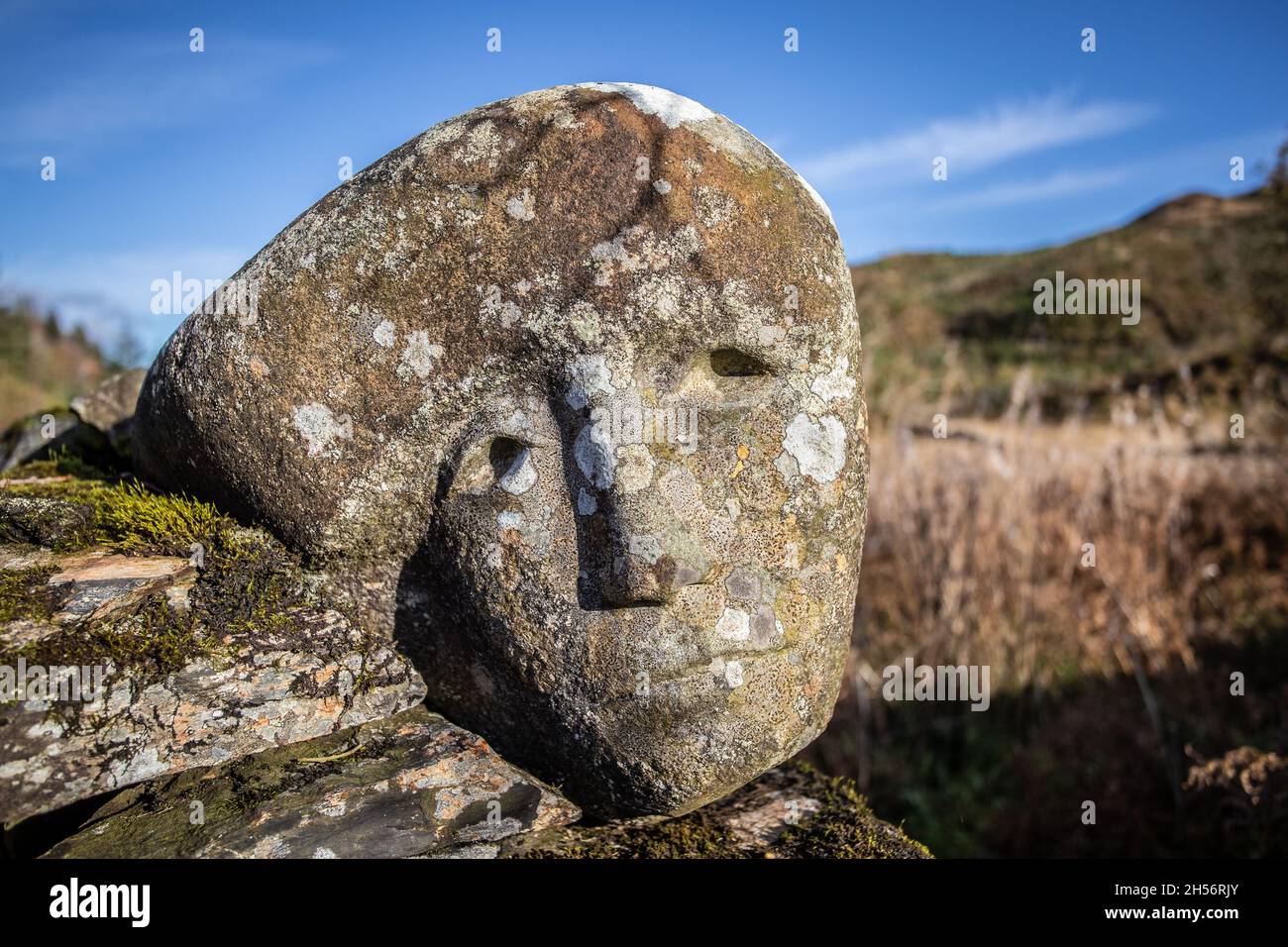 Opere d'arte intorno a Black Loch, Galloway Forest, Scozia Foto Stock