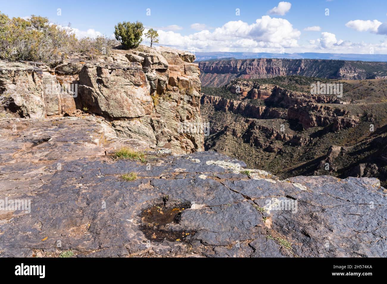 Una pista di dinosauri piena di pioggia nell'arenaria di Fisher Mesa vicino a Moab, Utah. Foto Stock